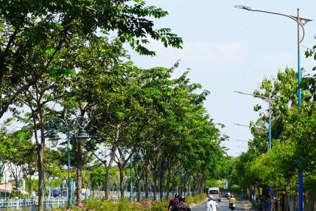 Các tuyến đường dọc kênh Tân Hóa- Lò Gốm, Thành phố Hồ Chí Minh